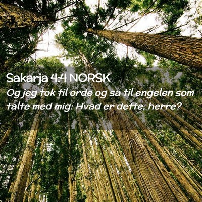 Picture 02 - Sakarja 4:4 NORSK - Og jeg tok til orde og sa til engelen som talte - Bible Verse Picture