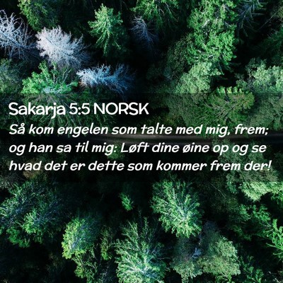 Picture 02 - Sakarja 5:5 NORSK - Så kom engelen som talte med mig, frem; og han - Bible Verse Picture