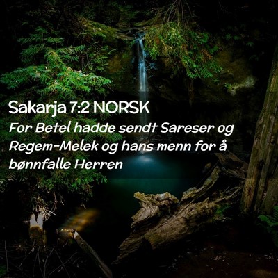 Picture 02 - Sakarja 7:2 NORSK - For Betel hadde sendt Sareser og Regem-Melek og - Bible Verse Picture