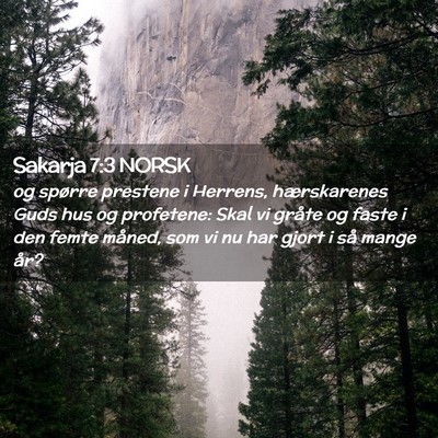 Picture 02 - Sakarja 7:3 NORSK - og spørre prestene i Herrens, hærskarenes Guds - Bible Verse Picture