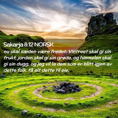 Picture 02 - Sakarja 8:12 NORSK - nu skal sæden være fredet: Vintreet skal gi sin - Bible Verse Picture