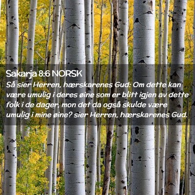 Picture 02 - Sakarja 8:6 NORSK - Så sier Herren, hærskarenes Gud: Om dette kan - Bible Verse Picture