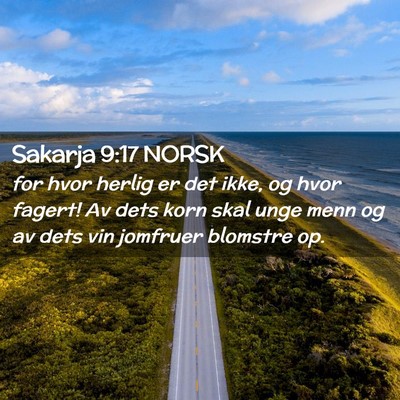 Picture 02 - Sakarja 9:17 NORSK - for hvor herlig er det ikke, og hvor fagert! Av - Bible Verse Picture