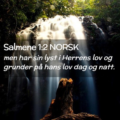 Picture 02 - Salmene 1:2 NORSK - men har sin lyst i Herrens lov og grunder på - Bible Verse Picture