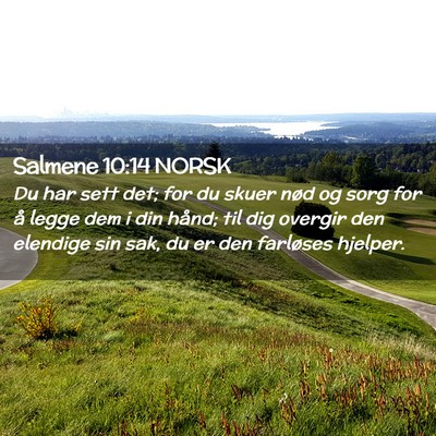 Picture 02 - Salmene 10:14 NORSK - Du har sett det; for du skuer nød og sorg for å - Bible Verse Picture