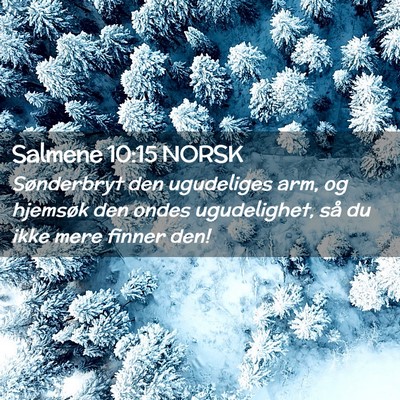 Picture 02 - Salmene 10:15 NORSK - Sønderbryt den ugudeliges arm, og hjemsøk den - Bible Verse Picture