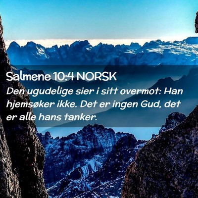 Picture 02 - Salmene 10:4 NORSK - Den ugudelige sier i sitt overmot: Han hjemsøker - Bible Verse Picture