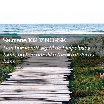 Picture 02 - Salmene 102:17 NORSK - Han har vendt sig til de hjelpeløses bønn, og - Bible Verse Picture