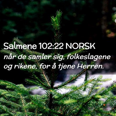Picture 02 - Salmene 102:22 NORSK - når de samler sig, folkeslagene og rikene, for - Bible Verse Picture