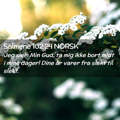 Picture 02 - Salmene 102:24 NORSK - Jeg sier: Min Gud, ta mig ikke bort midt i mine - Bible Verse Picture