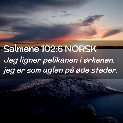 Picture 02 - Salmene 102:6 NORSK - Jeg ligner pelikanen i ørkenen, jeg er som uglen - Bible Verse Picture