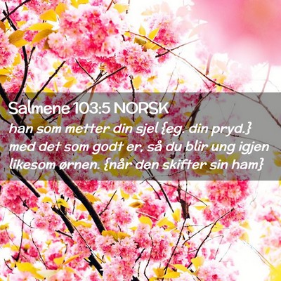 Picture 02 - Salmene 103:5 NORSK - han som metter din sjel {eg. din pryd.} med det - Bible Verse Picture