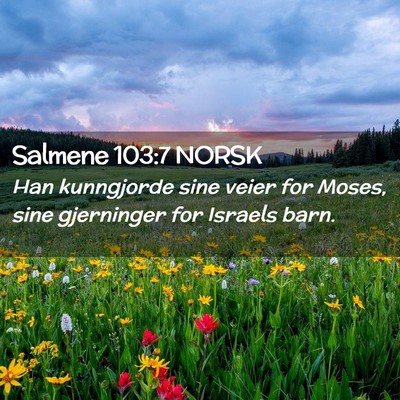 Picture 02 - Salmene 103:7 NORSK - Han kunngjorde sine veier for Moses, sine - Bible Verse Picture