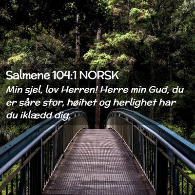 Picture 02 - Salmene 104:1 NORSK - Min sjel, lov Herren! Herre min Gud, du er såre - Bible Verse Picture