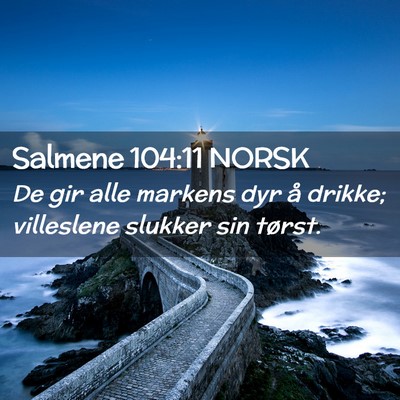 Picture 02 - Salmene 104:11 NORSK - De gir alle markens dyr å drikke; villeslene - Bible Verse Picture