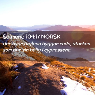 Picture 02 - Salmene 104:17 NORSK - der hvor fuglene bygger rede, storken som har sin - Bible Verse Picture