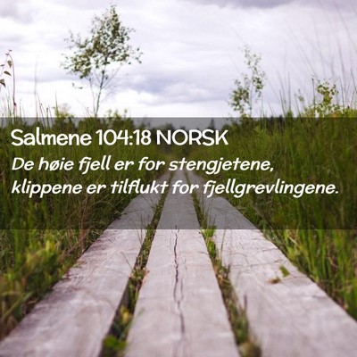 Picture 02 - Salmene 104:18 NORSK - De høie fjell er for stengjetene, klippene er - Bible Verse Picture
