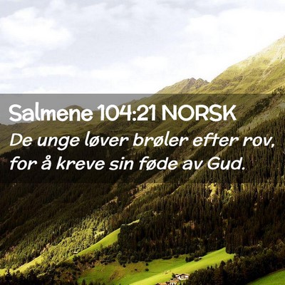 Picture 02 - Salmene 104:21 NORSK - De unge løver brøler efter rov, for å kreve - Bible Verse Picture