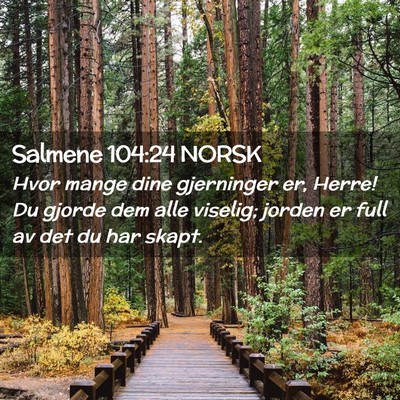Picture 02 - Salmene 104:24 NORSK - Hvor mange dine gjerninger er, Herre! Du gjorde - Bible Verse Picture