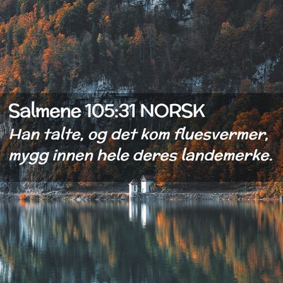 Picture 02 - Salmene 105:31 NORSK - Han talte, og det kom fluesvermer, mygg innen - Bible Verse Picture