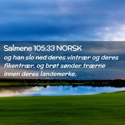 Picture 02 - Salmene 105:33 NORSK - og han slo ned deres vintrær og deres - Bible Verse Picture
