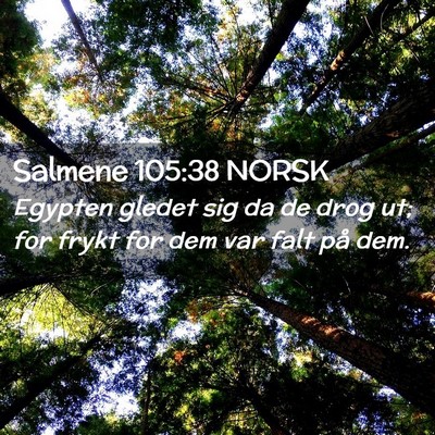 Picture 02 - Salmene 105:38 NORSK - Egypten gledet sig da de drog ut; for frykt for - Bible Verse Picture