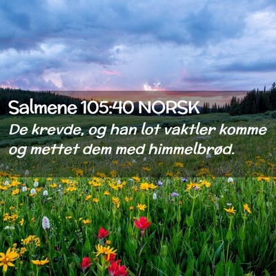 Picture 02 - Salmene 105:40 NORSK - De krevde, og han lot vaktler komme og mettet dem - Bible Verse Picture