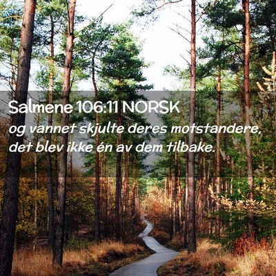 Picture 02 - Salmene 106:11 NORSK - og vannet skjulte deres motstandere, det blev - Bible Verse Picture