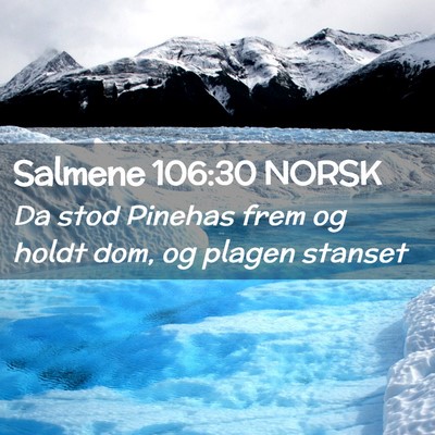 Picture 02 - Salmene 106:30 NORSK - Da stod Pinehas frem og holdt dom, og plagen - Bible Verse Picture