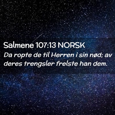 Picture 02 - Salmene 107:13 NORSK - Da ropte de til Herren i sin nød; av deres - Bible Verse Picture