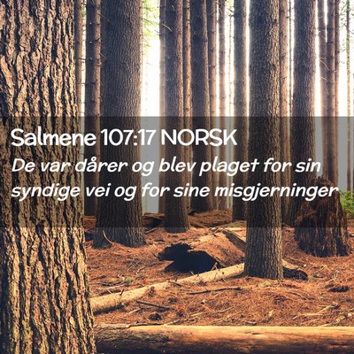 Picture 02 - Salmene 107:17 NORSK - De var dårer og blev plaget for sin syndige vei - Bible Verse Picture
