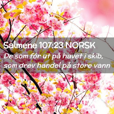 Picture 02 - Salmene 107:23 NORSK - De som fór ut på havet i skib, som drev handel - Bible Verse Picture