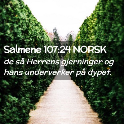 Picture 02 - Salmene 107:24 NORSK - de så Herrens gjerninger og hans underverker på - Bible Verse Picture