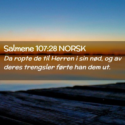 Picture 02 - Salmene 107:28 NORSK - Da ropte de til Herren i sin nød, og av deres - Bible Verse Picture