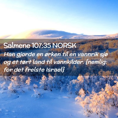 Picture 02 - Salmene 107:35 NORSK - Han gjorde en ørken til en vannrik sjø og et - Bible Verse Picture