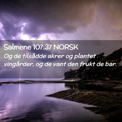 Picture 02 - Salmene 107:37 NORSK - Og de tilsådde akrer og plantet vingårder, og - Bible Verse Picture