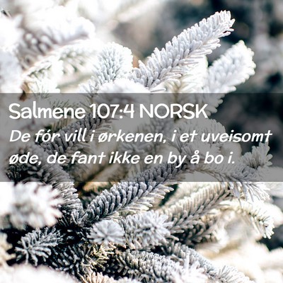 Picture 02 - Salmene 107:4 NORSK - De fór vill i ørkenen, i et uveisomt øde, de - Bible Verse Picture