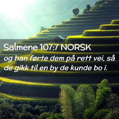 Picture 02 - Salmene 107:7 NORSK - og han førte dem på rett vei, så de gikk til - Bible Verse Picture