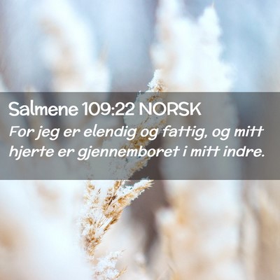 Picture 02 - Salmene 109:22 NORSK - For jeg er elendig og fattig, og mitt hjerte er - Bible Verse Picture