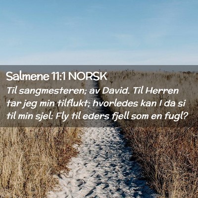 Picture 02 - Salmene 11:1 NORSK - Til sangmesteren; av David. Til Herren tar jeg - Bible Verse Picture