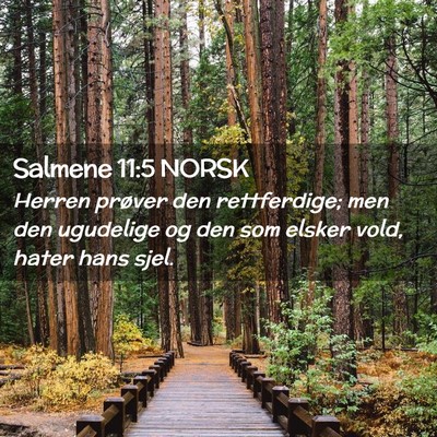 Picture 02 - Salmene 11:5 NORSK - Herren prøver den rettferdige; men den ugudelige - Bible Verse Picture