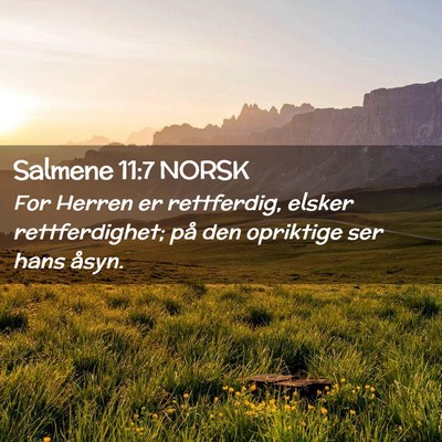 Picture 02 - Salmene 11:7 NORSK - For Herren er rettferdig, elsker rettferdighet; - Bible Verse Picture