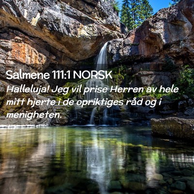 Picture 02 - Salmene 111:1 NORSK - Halleluja! Jeg vil prise Herren av hele mitt - Bible Verse Picture