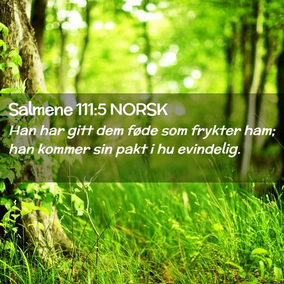 Picture 02 - Salmene 111:5 NORSK - Han har gitt dem føde som frykter ham; han - Bible Verse Picture