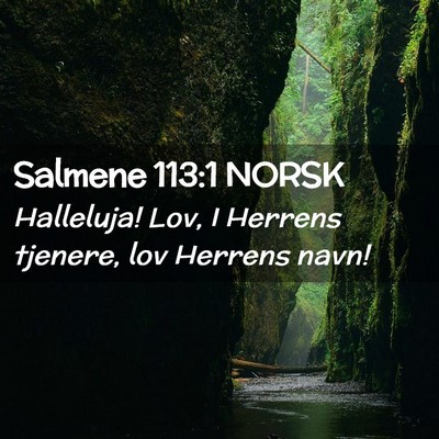Picture 02 - Salmene 113:1 NORSK - Halleluja! Lov, I Herrens tjenere, lov Herrens - Bible Verse Picture