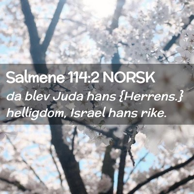 Picture 02 - Salmene 114:2 NORSK - da blev Juda hans {Herrens.} helligdom, Israel - Bible Verse Picture