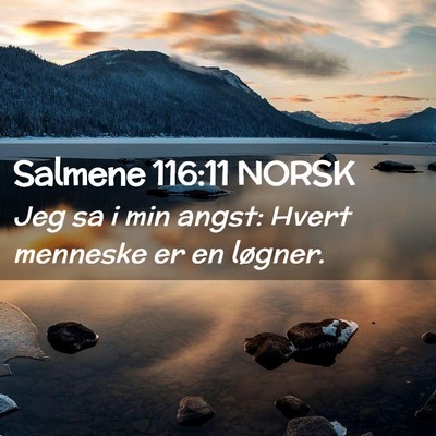 Picture 02 - Salmene 116:11 NORSK - Jeg sa i min angst: Hvert menneske er en - Bible Verse Picture