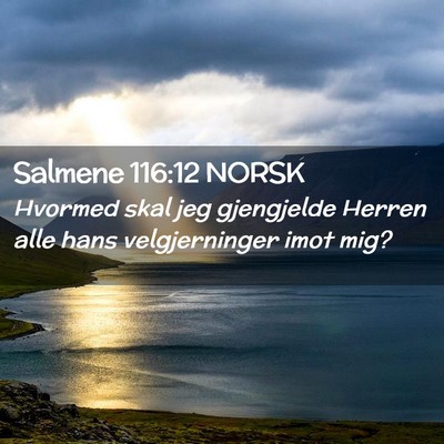 Picture 02 - Salmene 116:12 NORSK - Hvormed skal jeg gjengjelde Herren alle hans - Bible Verse Picture