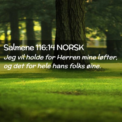 Picture 02 - Salmene 116:14 NORSK - Jeg vil holde for Herren mine løfter, og det for - Bible Verse Picture