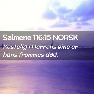 Picture 02 - Salmene 116:15 NORSK - Kostelig i Herrens øine er hans frommes - Bible Verse Picture